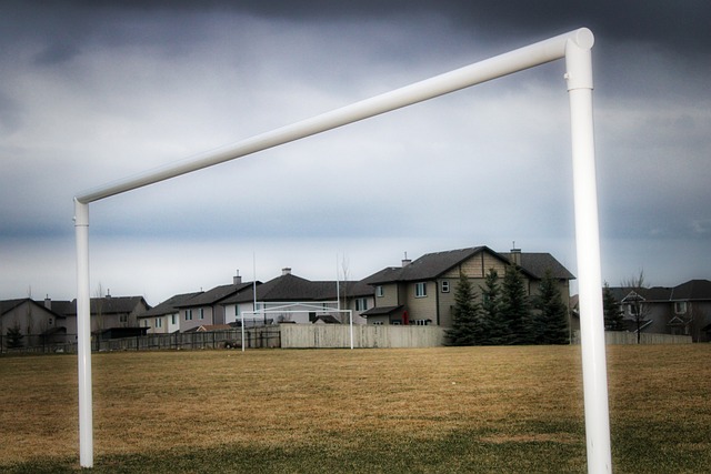 国安主场战平山东泰山