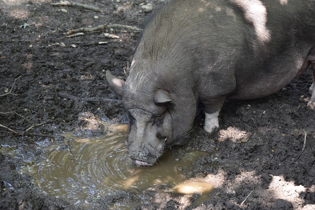 验不足的弱 验不足的弱