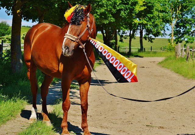 关键进球 关键进球