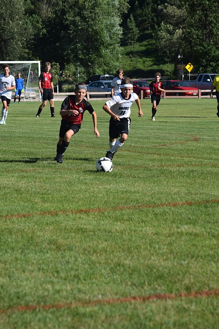 转会市场的 转会市场的