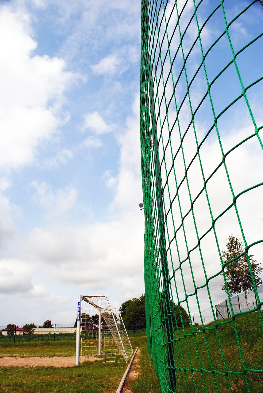 竞争力略显 竞争力略显