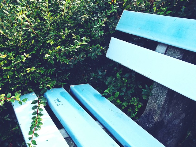 金观赛时间 金观赛时间